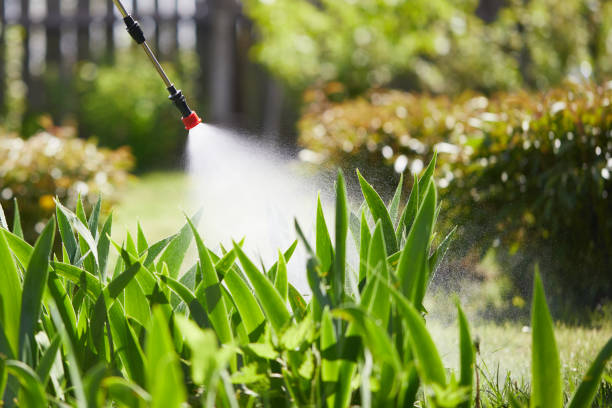 24/7 Emergency Wasp Removal experts in Ivey, GA