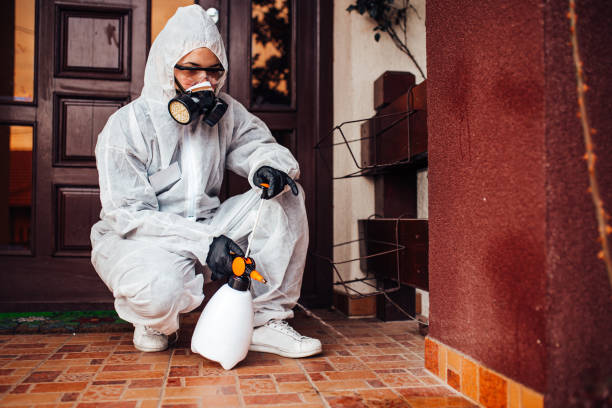 Reliable Wasp Removal contractor in Ivey, GA by Show Me Pest Control